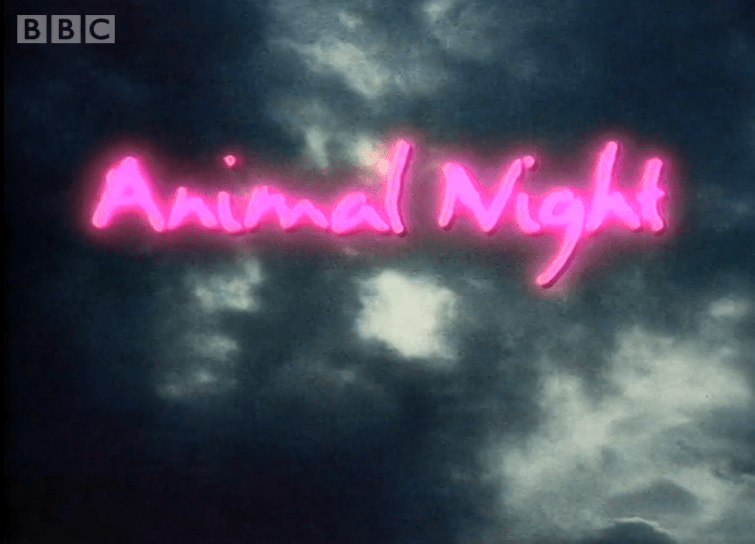 TITLE CARD: 'Animal Night' appears in glowing pink text against a stormy night sky backdrop